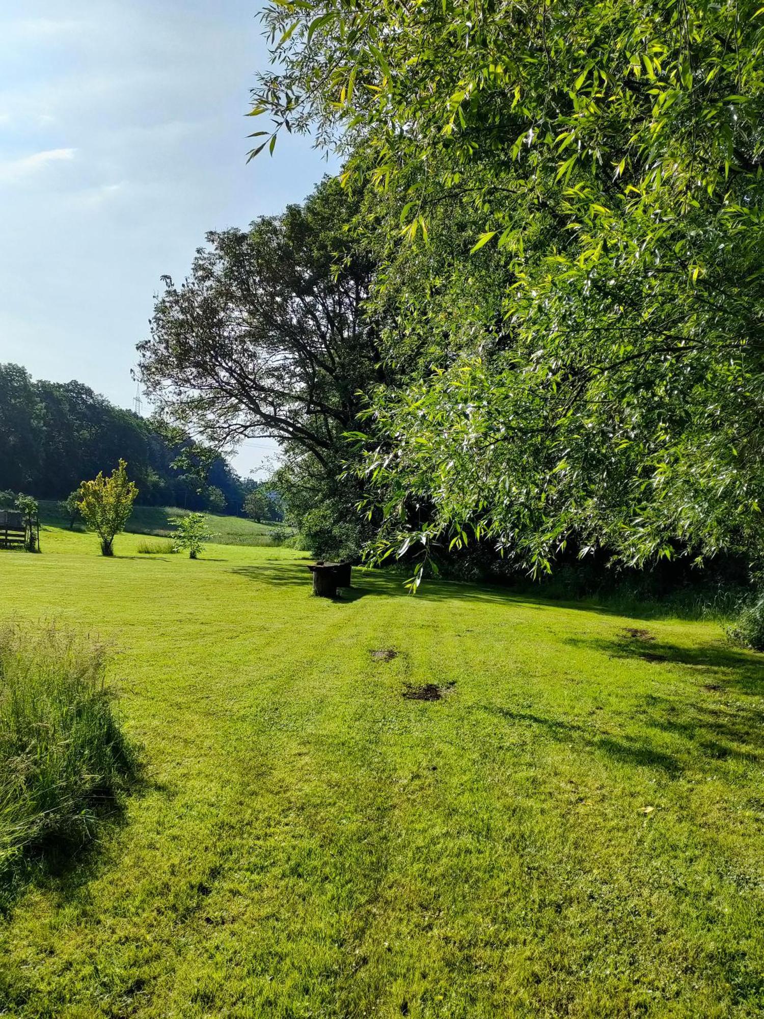 Wind In Den Weiden, Uebernachten Am Bachlauf Birstein Dış mekan fotoğraf